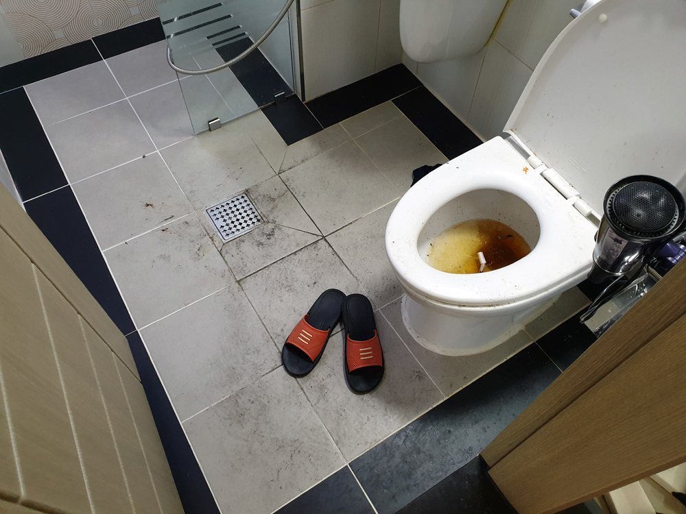 cd9507327facbd08632df644cf0e4d0b_1790148610_3839.jpg
